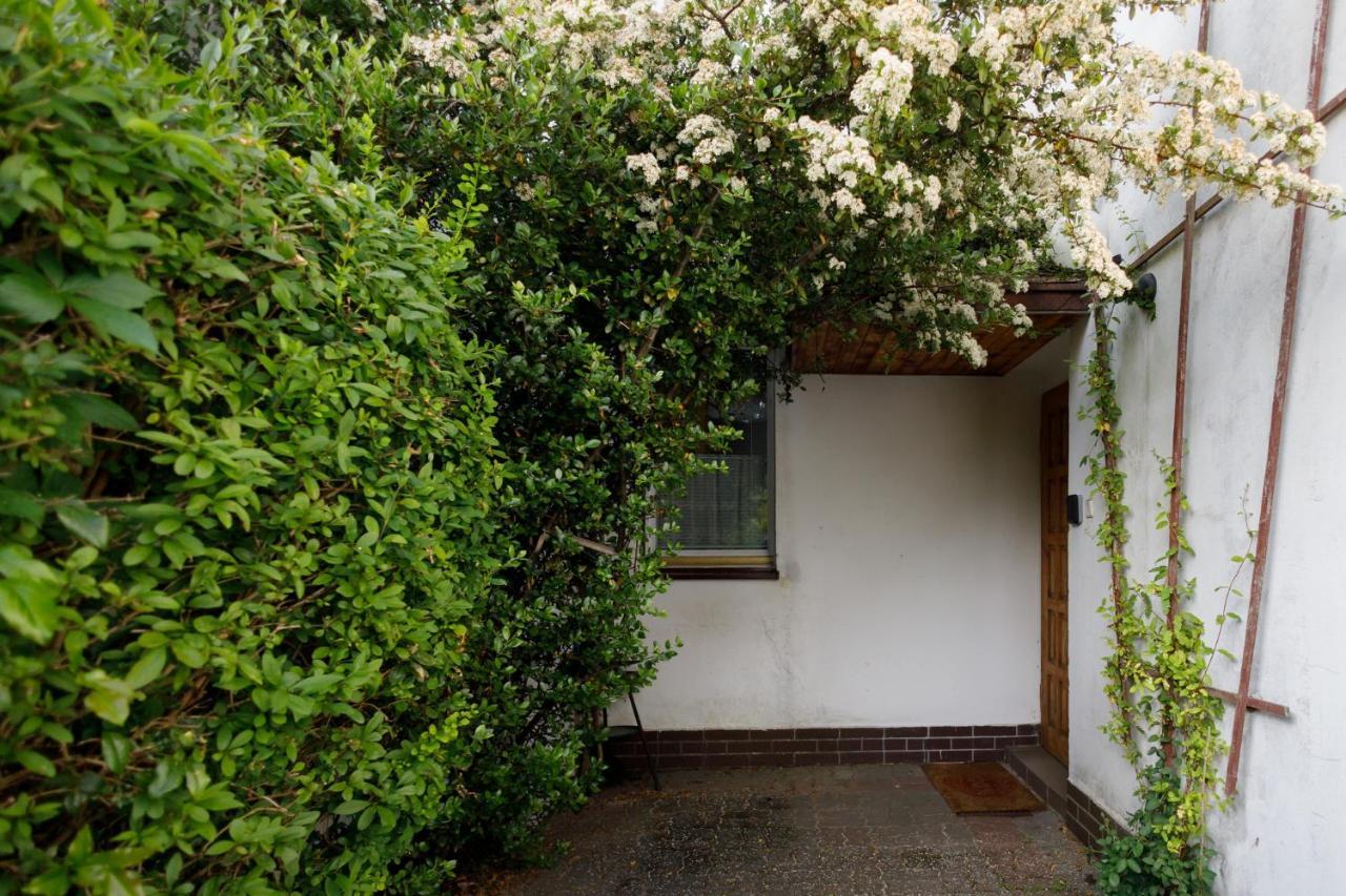 Apartament Miriada 16 ロビ エクステリア 写真